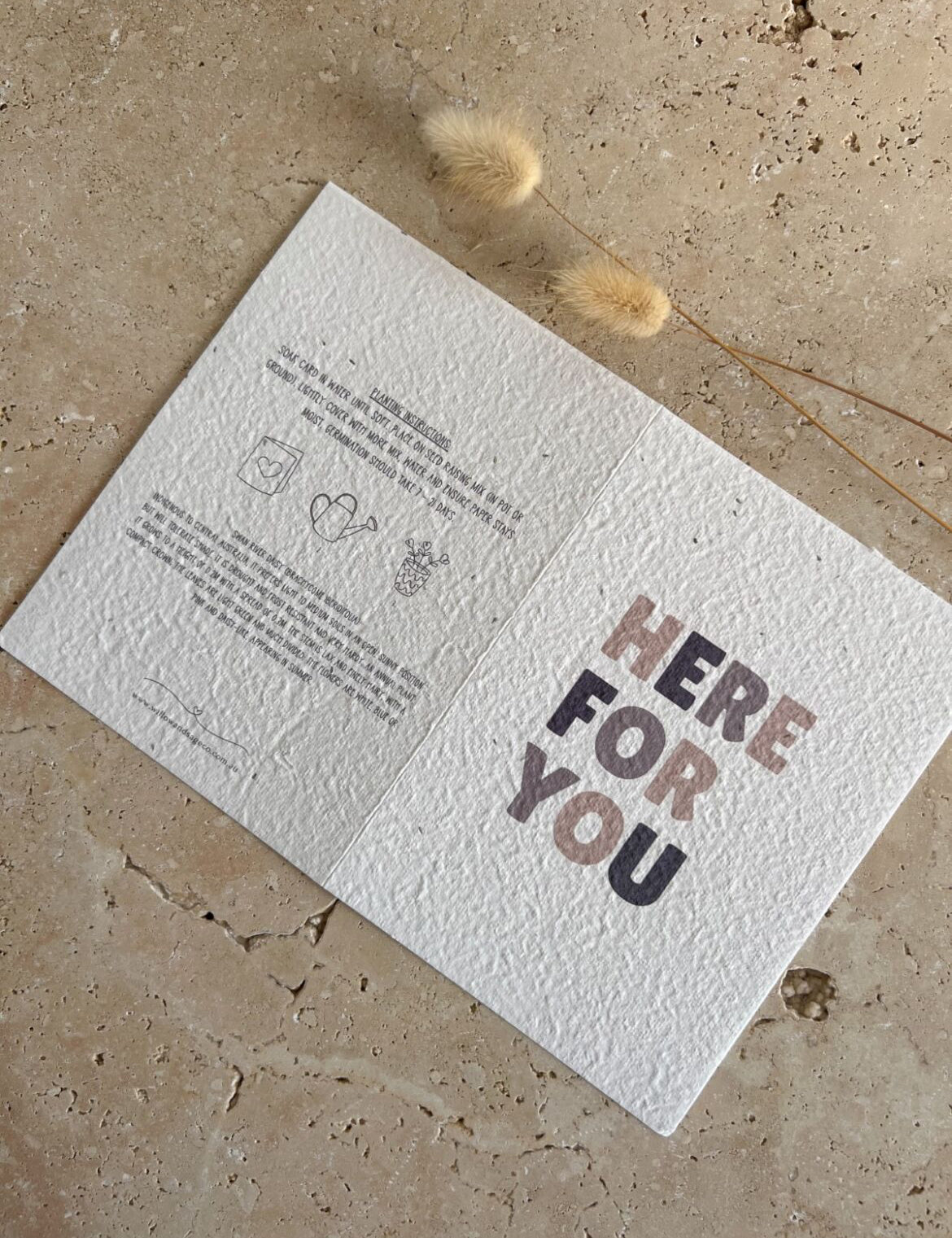WILLOW & SAGE - Plantable Greeting Cards
