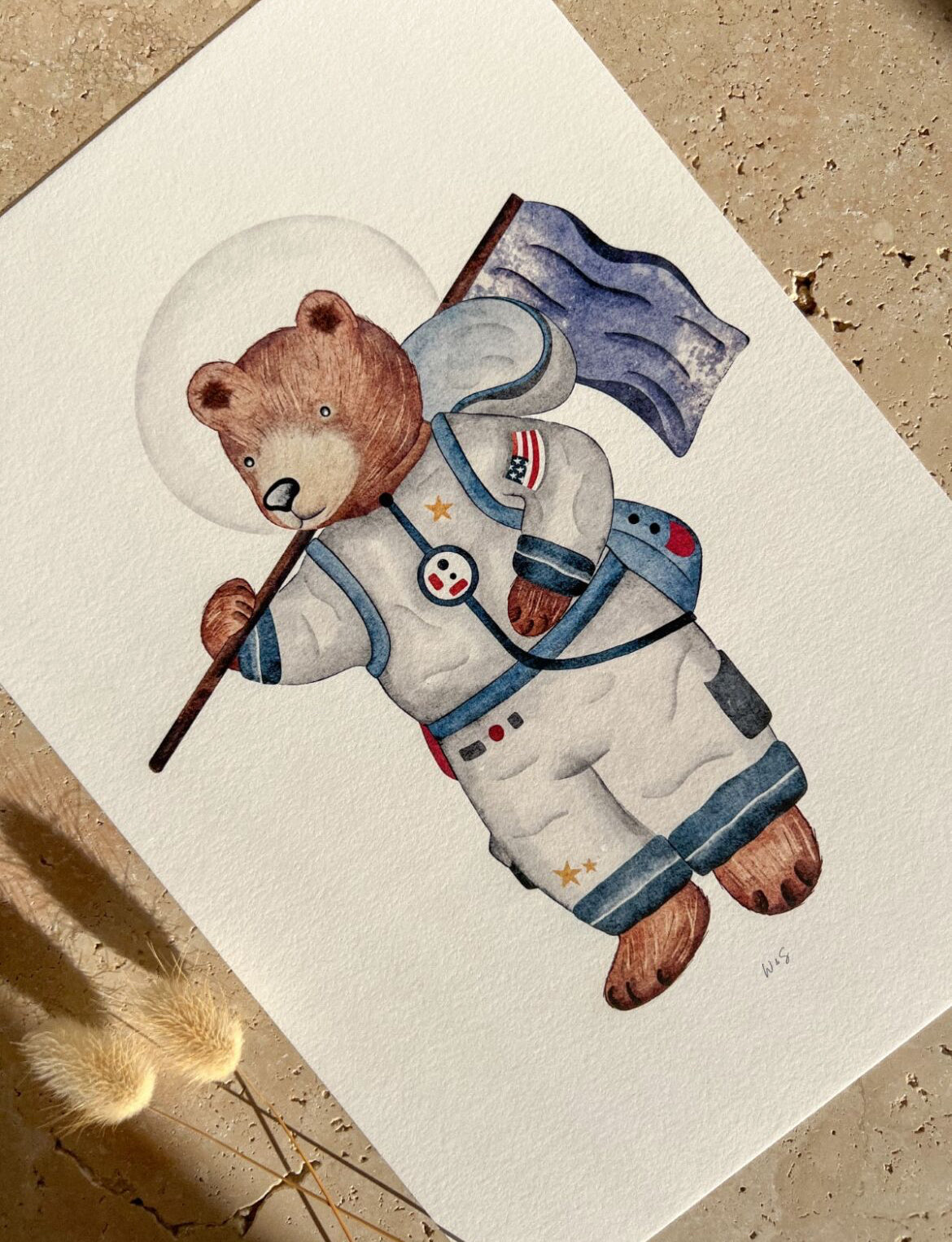 WILLOW & SAGE - Space Bear Prints