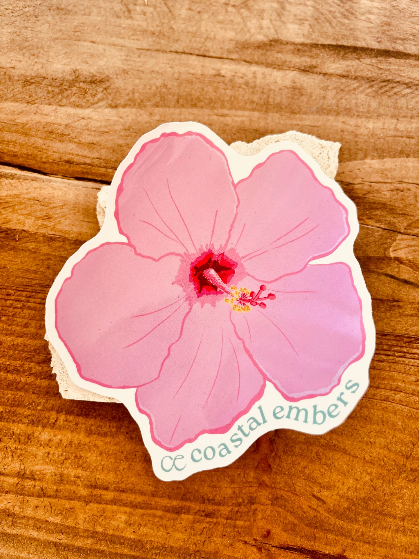 COASTAL EMBERS - Individual Stickers