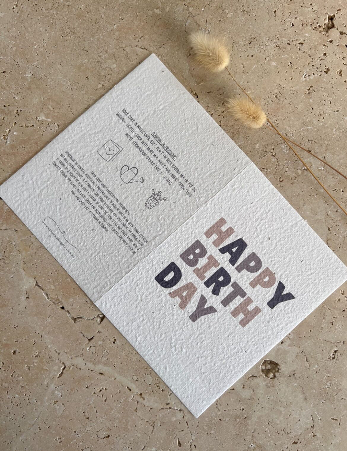 WILLOW & SAGE - Plantable Greeting Cards