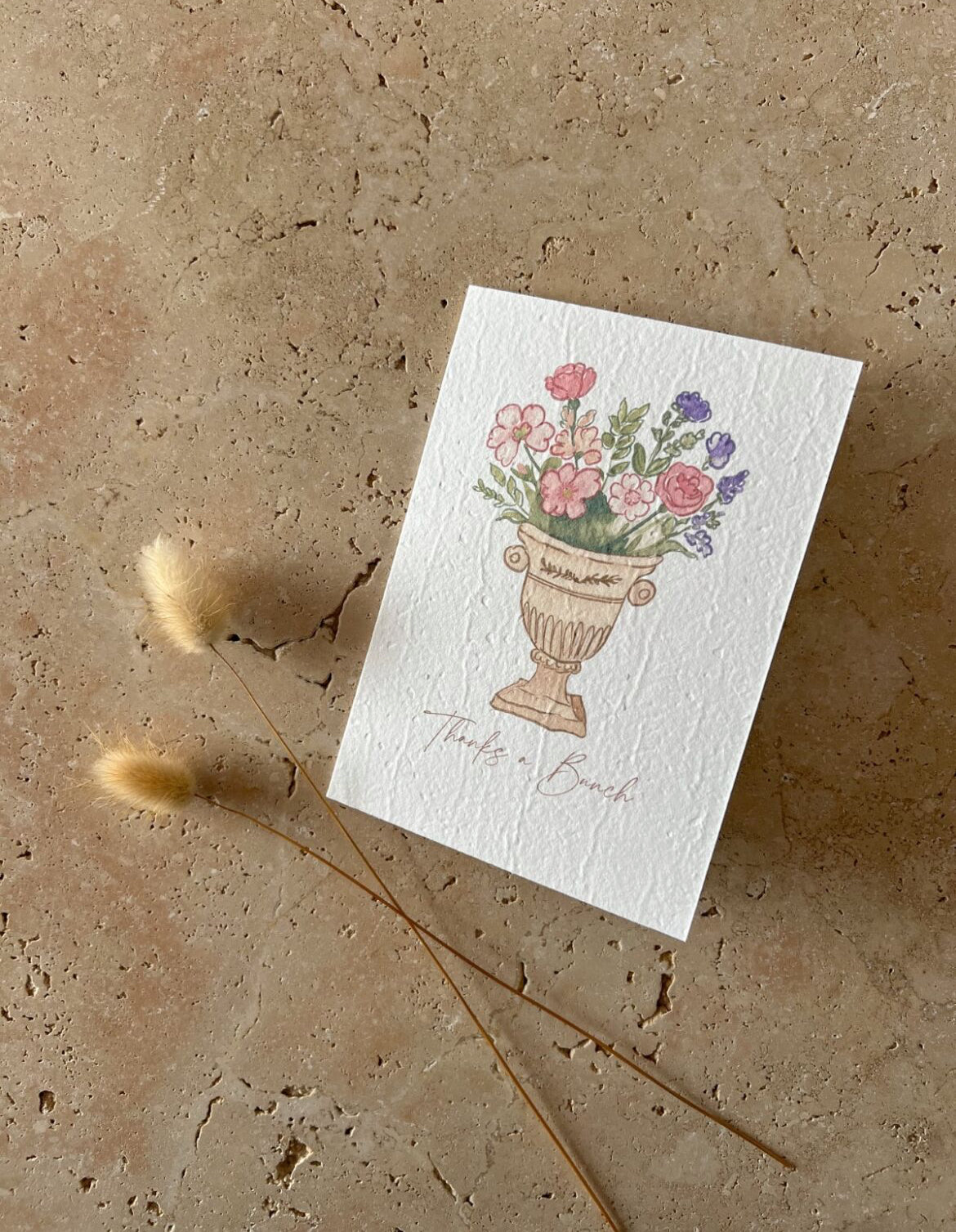WILLOW & SAGE - Plantable Greeting Cards - Sunday Brunch