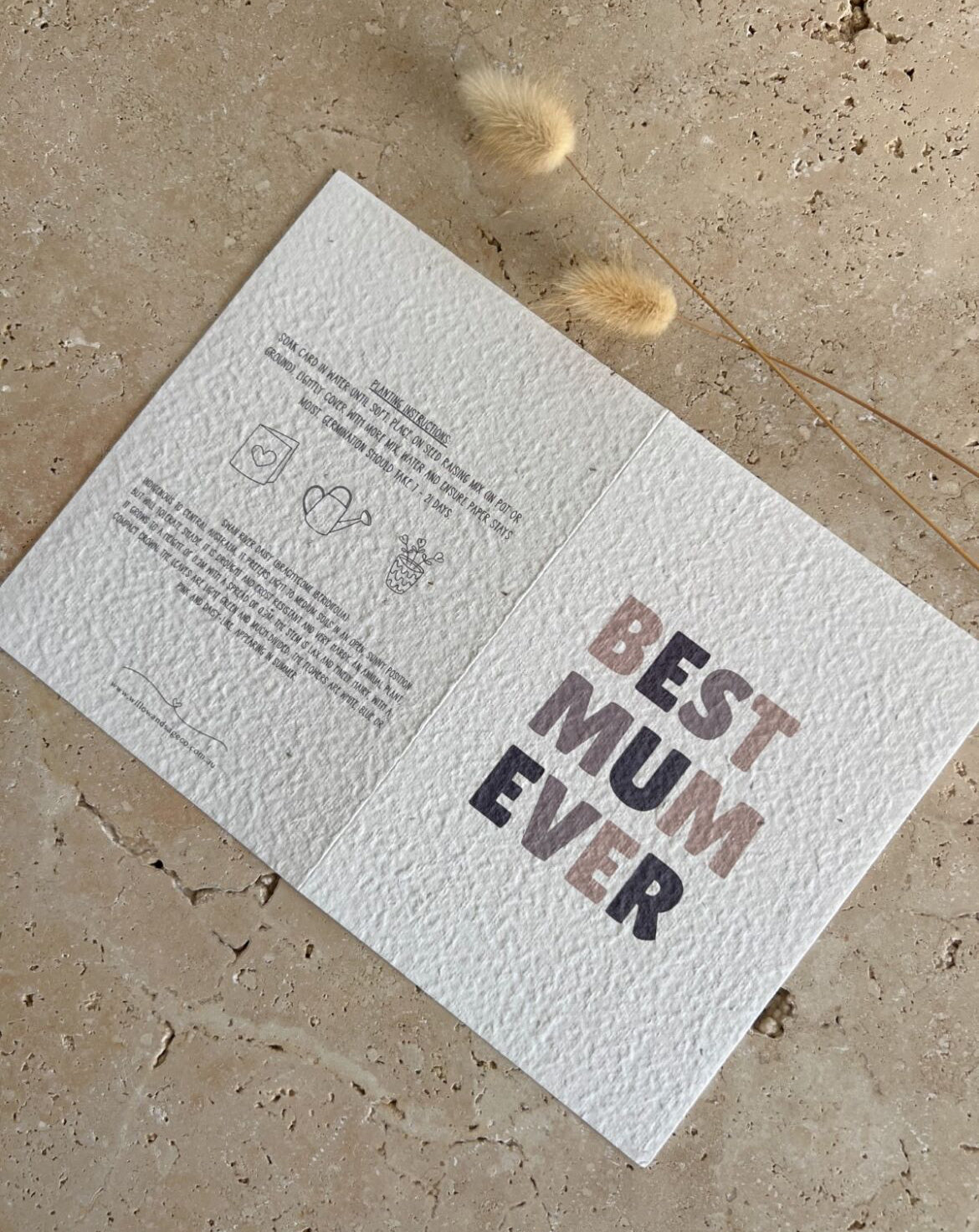 WILLOW & SAGE - Plantable Greeting Cards