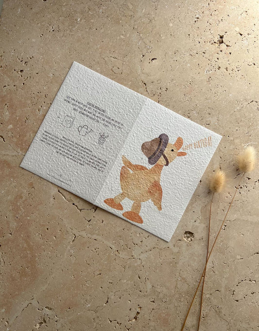 WILLOW & SAGE - Plantable Greeting Cards
