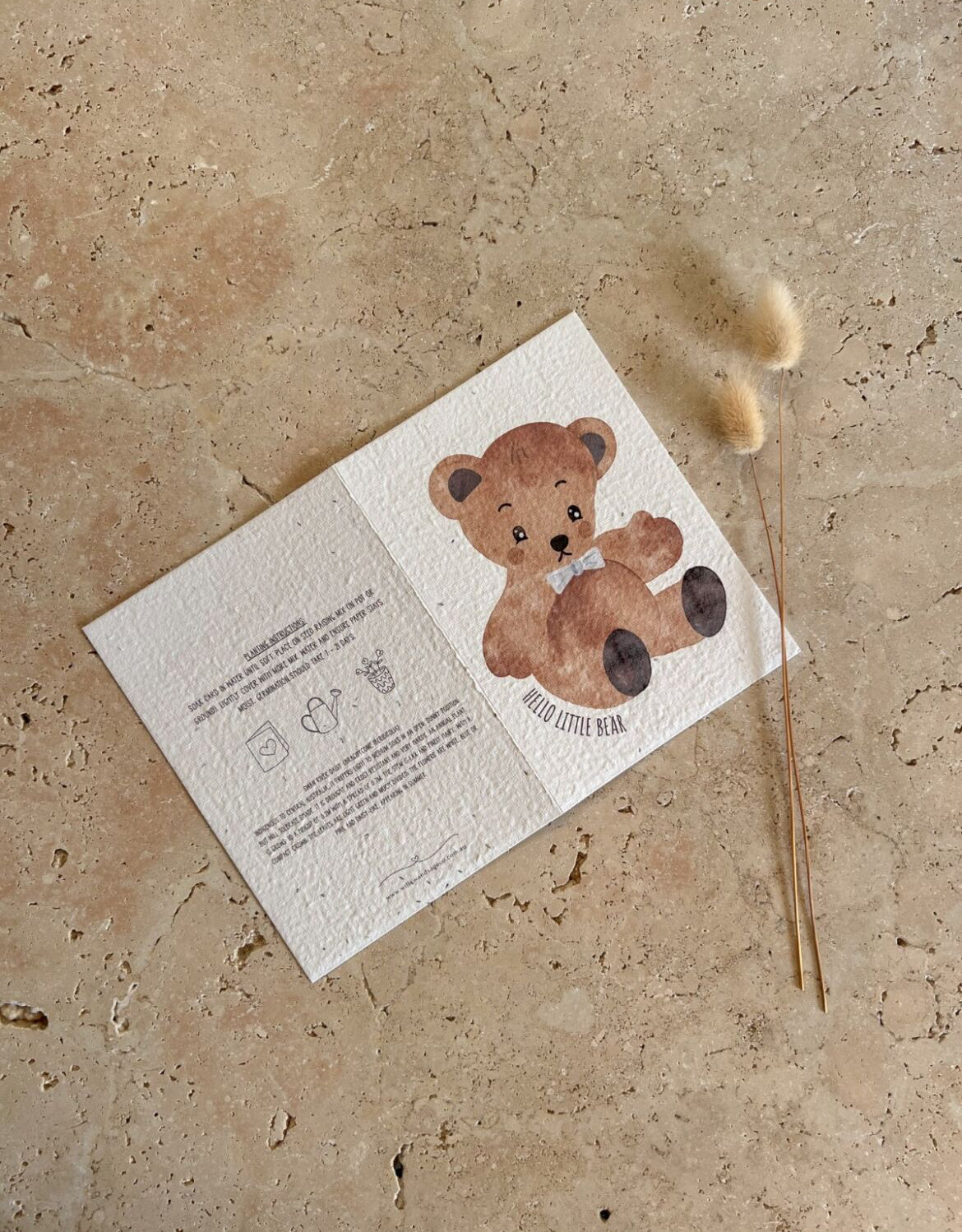 WILLOW & SAGE - Plantable Greeting Cards