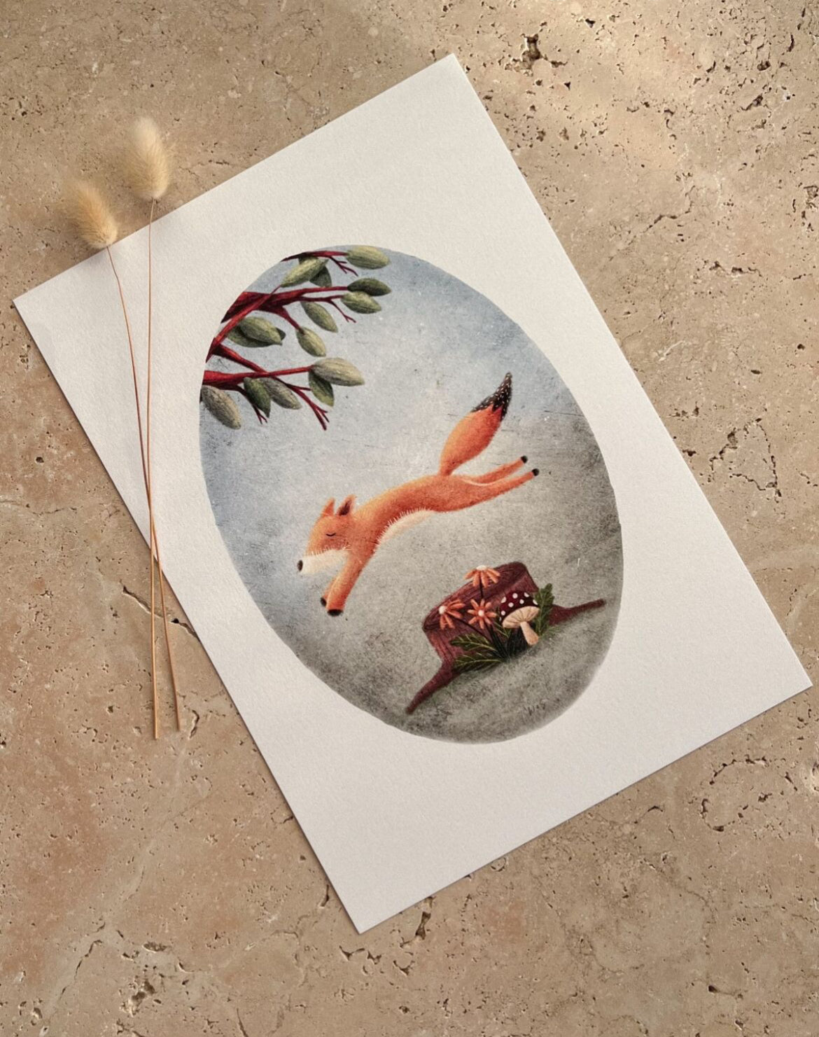 WILLOW & SAGE - Vintage Animal Prints
