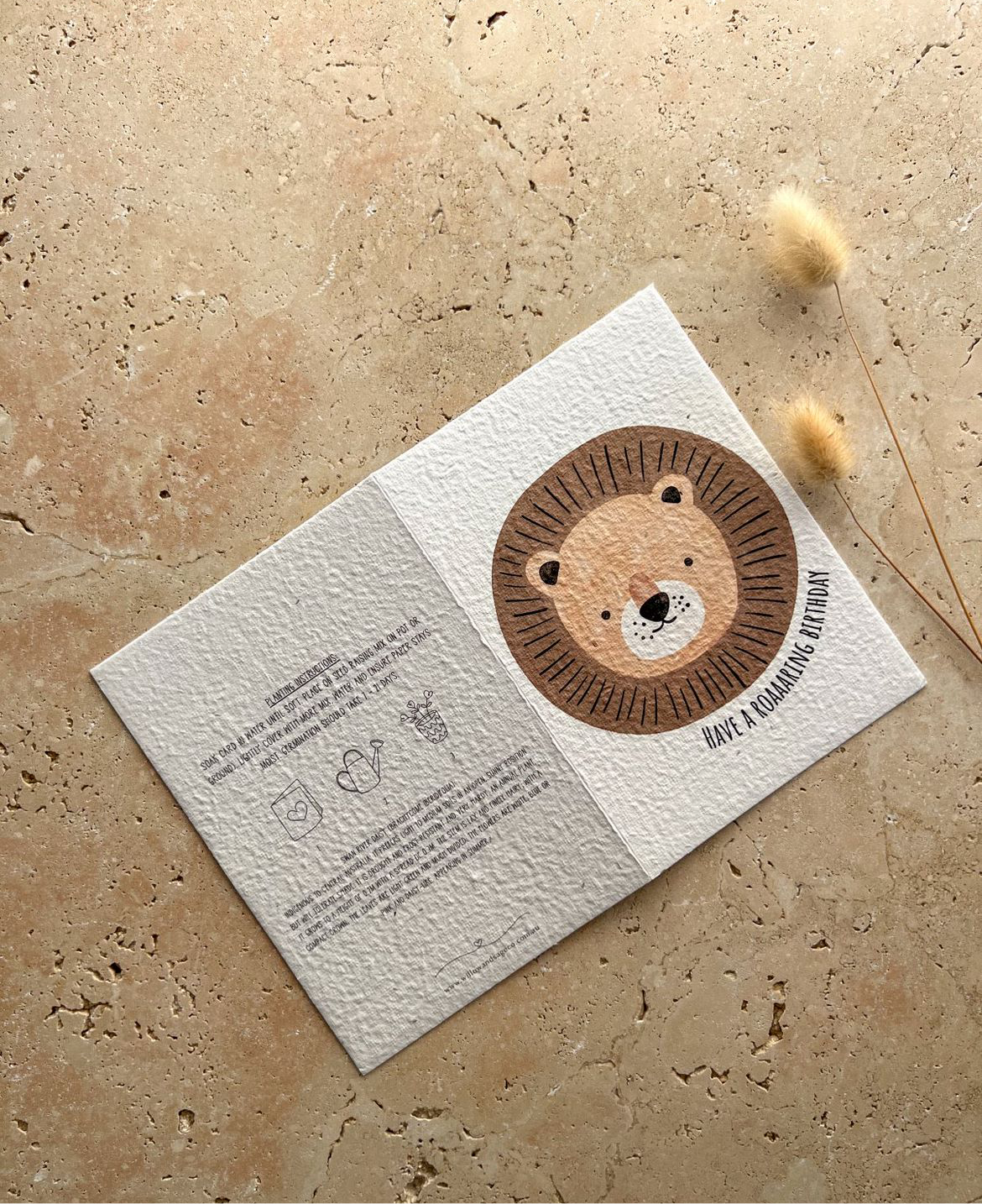 WILLOW & SAGE - Plantable Greeting Cards