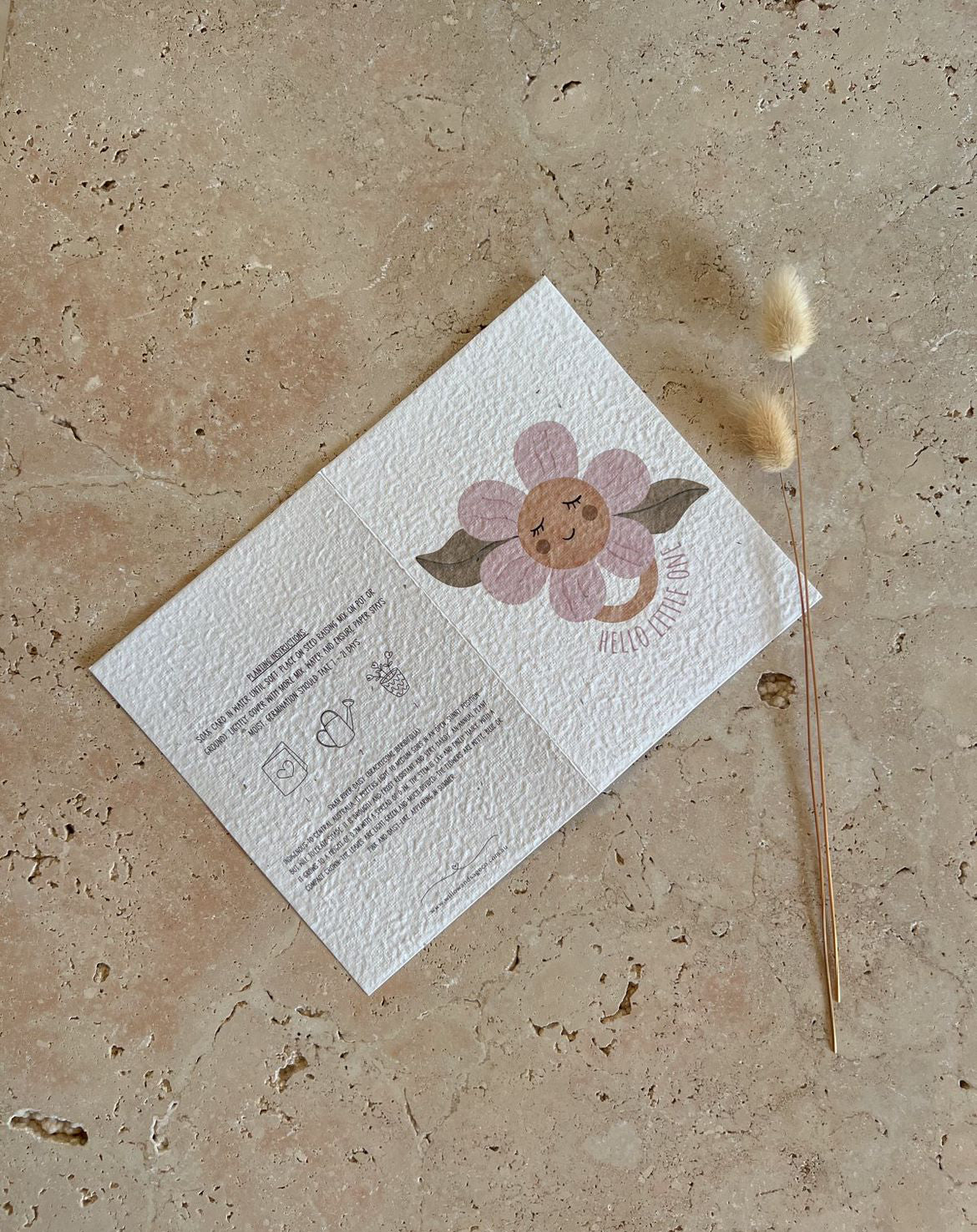 WILLOW & SAGE - Plantable Greeting Cards